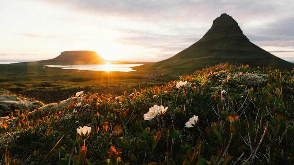 Paisajes y Precio viajes Islandia en verano 2025